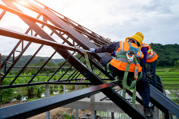 Best Shingle Roofing Installation  in Way, NE