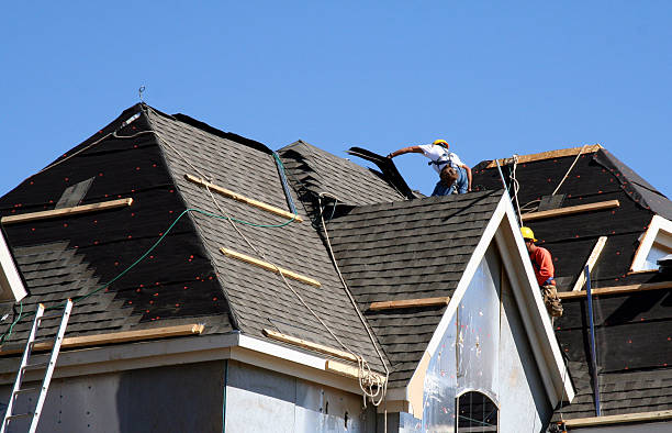 Best New Roof Installation  in Way, NE