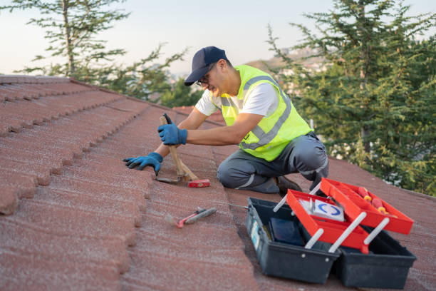 Best Flat Roof Repair Services  in Way, NE